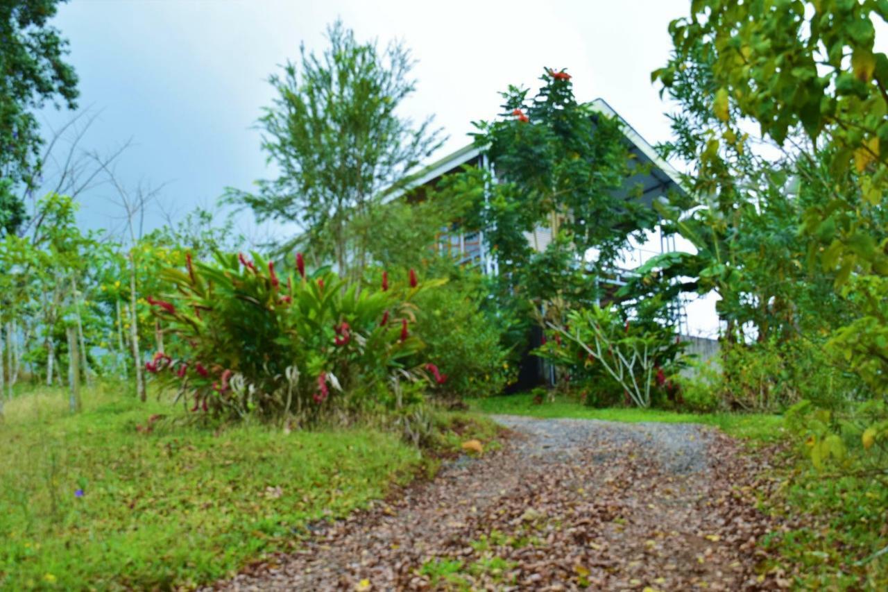 Hotel Rio Celeste Finca L' Etoile Celeste El Achiote Buitenkant foto