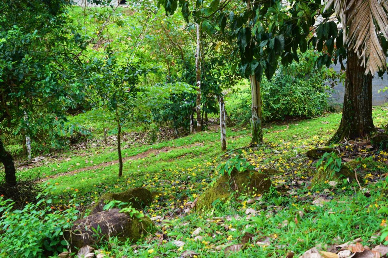 Hotel Rio Celeste Finca L' Etoile Celeste El Achiote Buitenkant foto